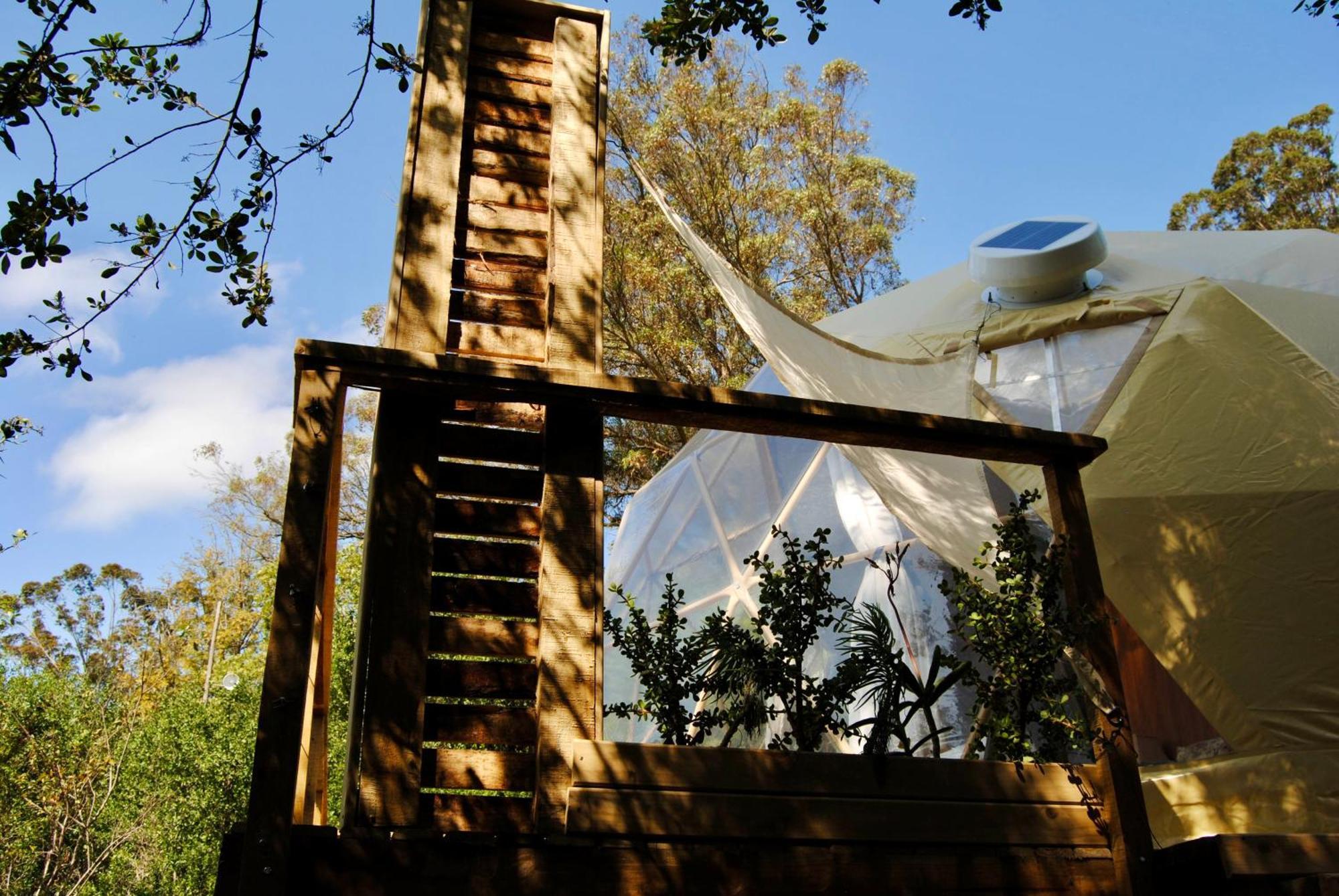 Luxe tent Soul Forest Geodome - Off-grid Nature Escape