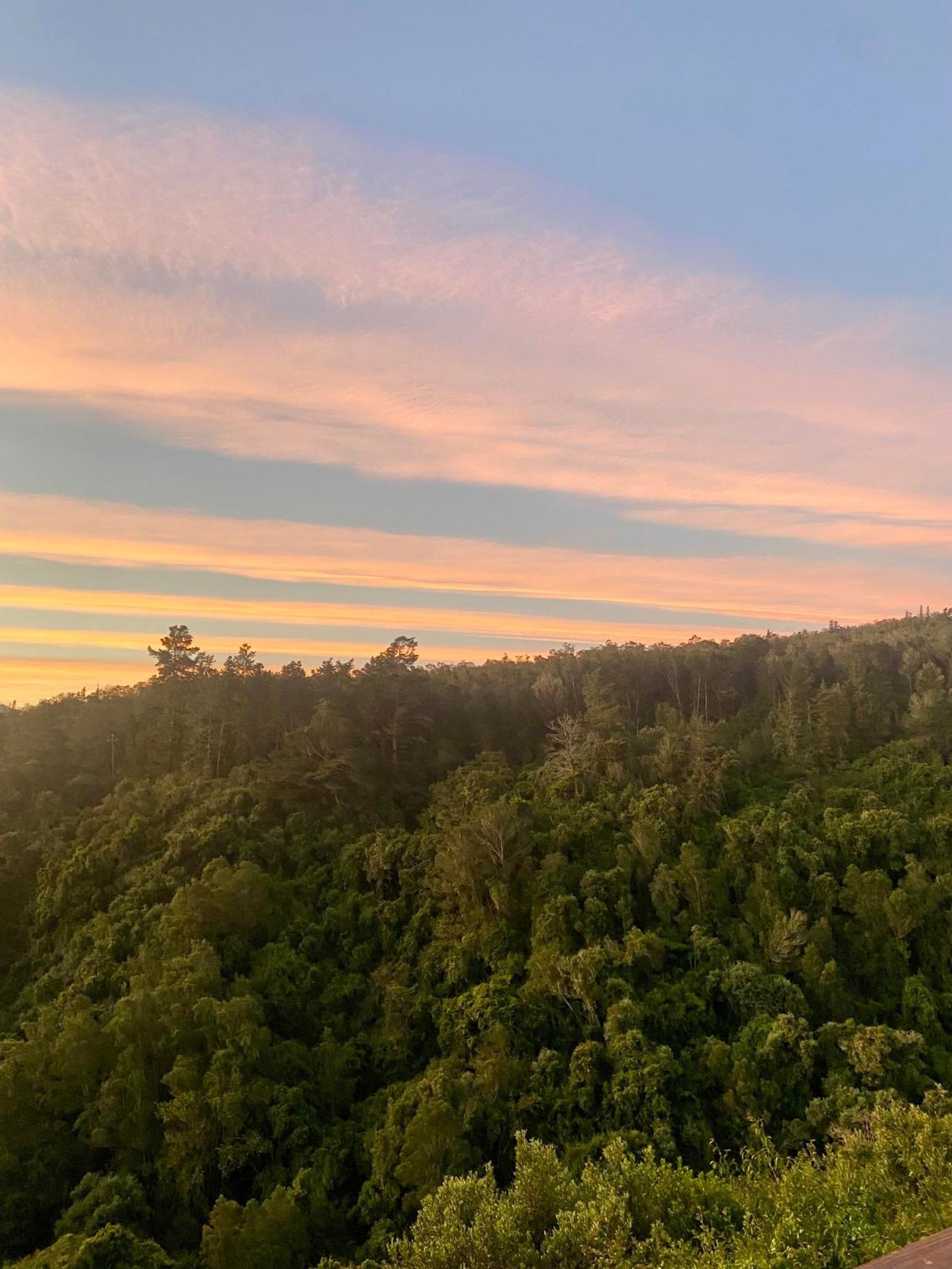 Soul Forest Geodome - Off-grid Nature Escape Sedgefield