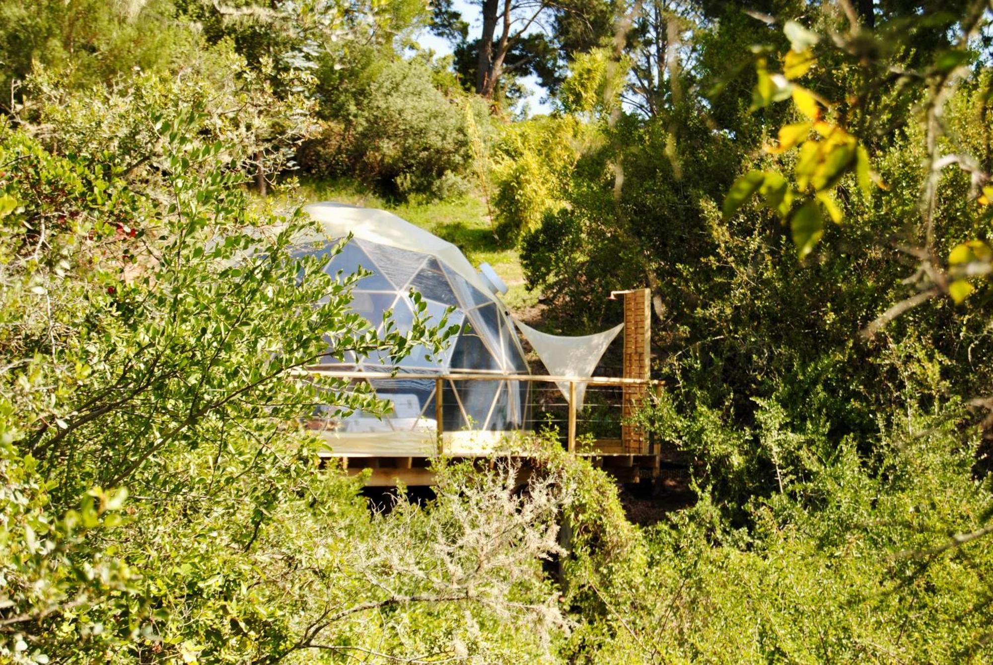 Luxe tent Soul Forest Geodome - Off-grid Nature Escape Sedgefield