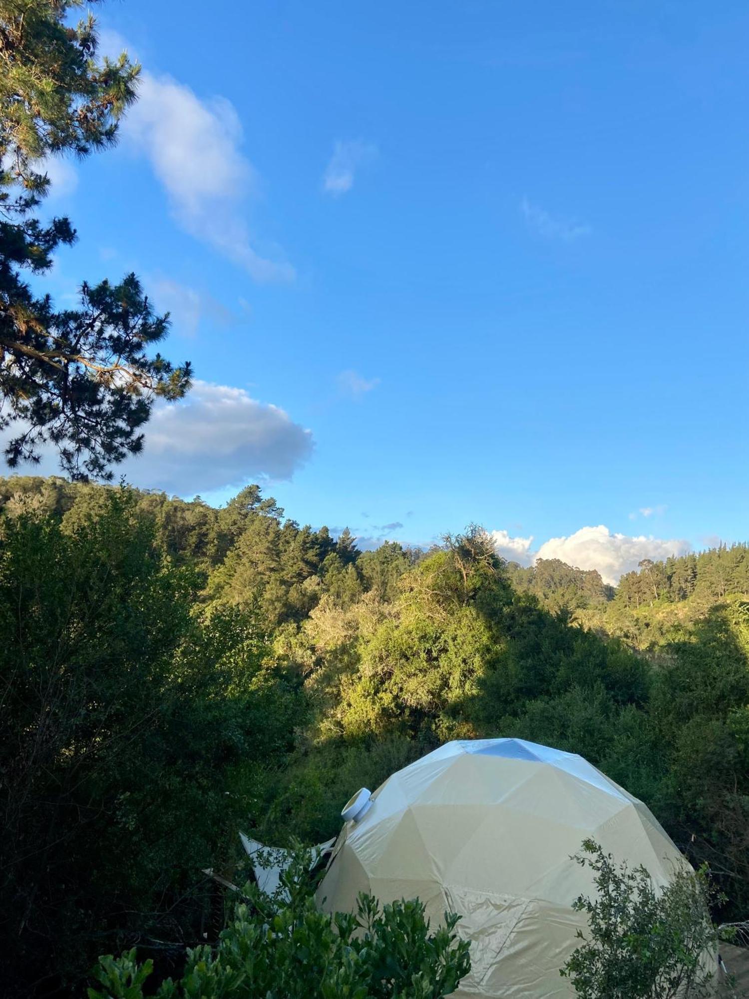 Luxe tent Soul Forest Geodome - Off-grid Nature Escape Sedgefield