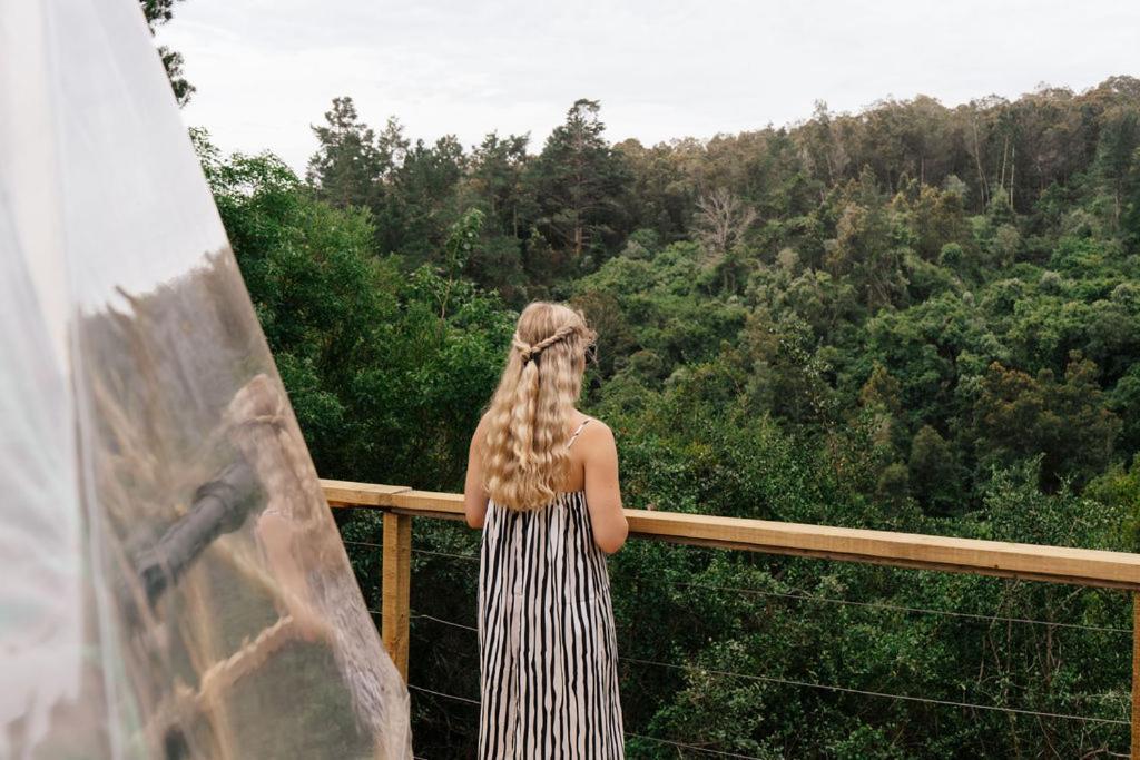 Luxe tent Soul Forest Geodome - Off-grid Nature Escape