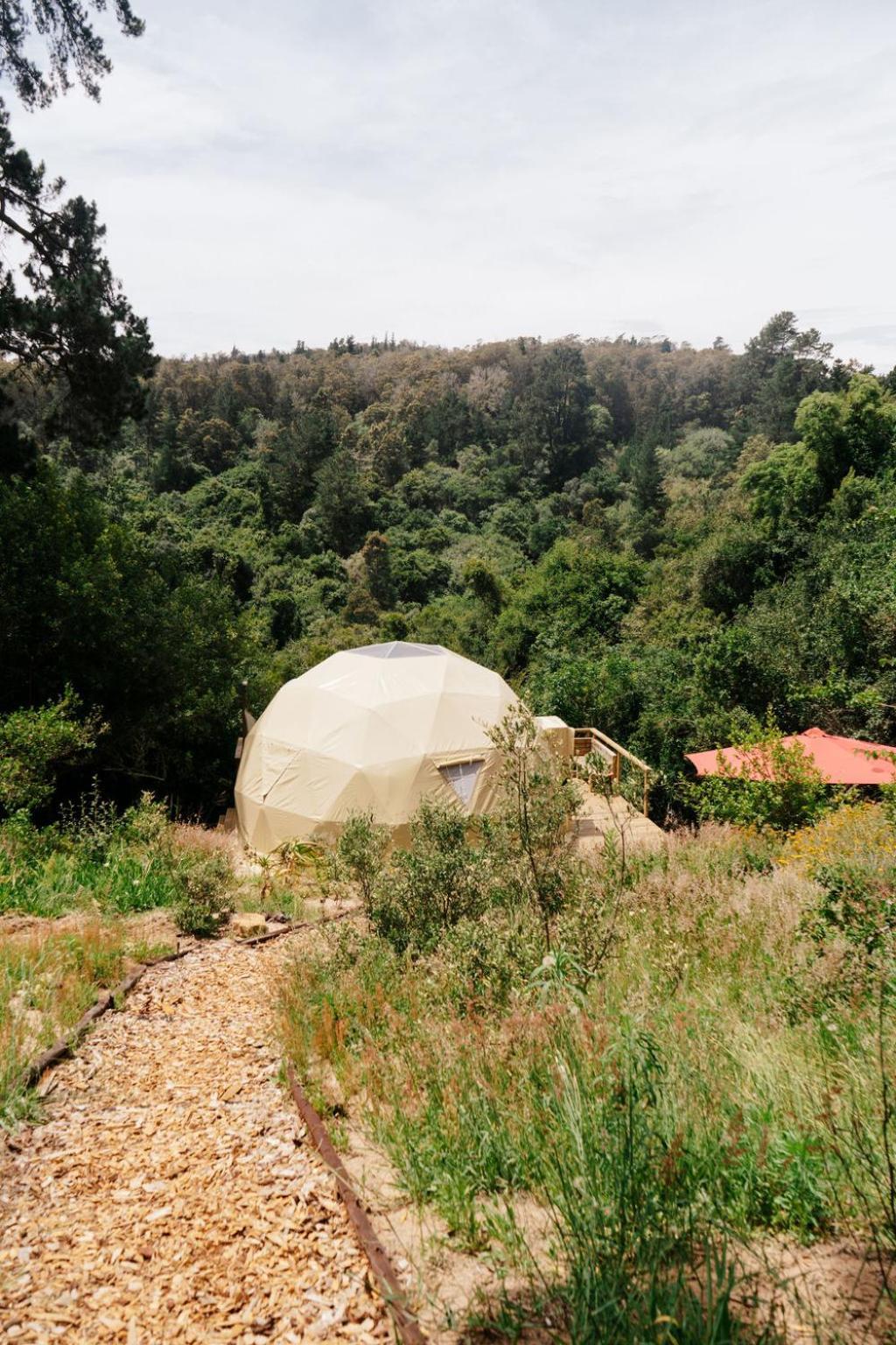 Soul Forest Geodome - Off-grid Nature Escape *
