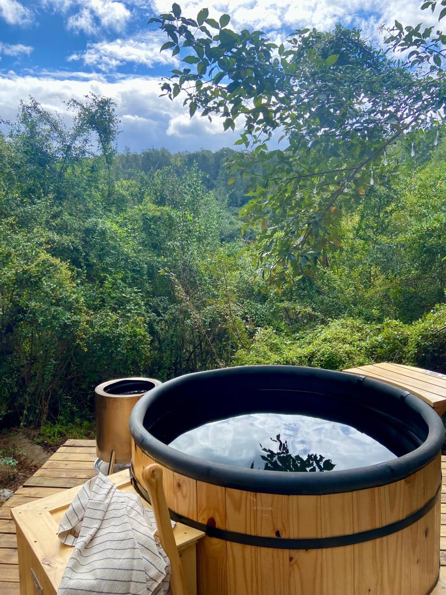 Soul Forest Geodome - Off-grid Nature Escape